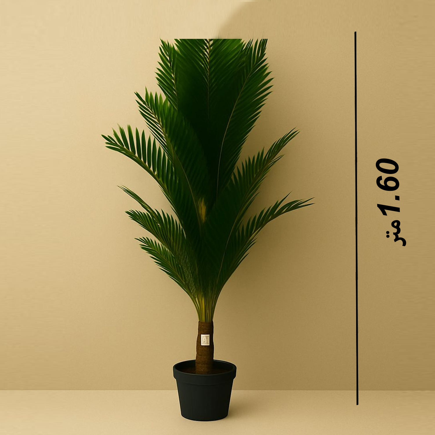 product_img1
