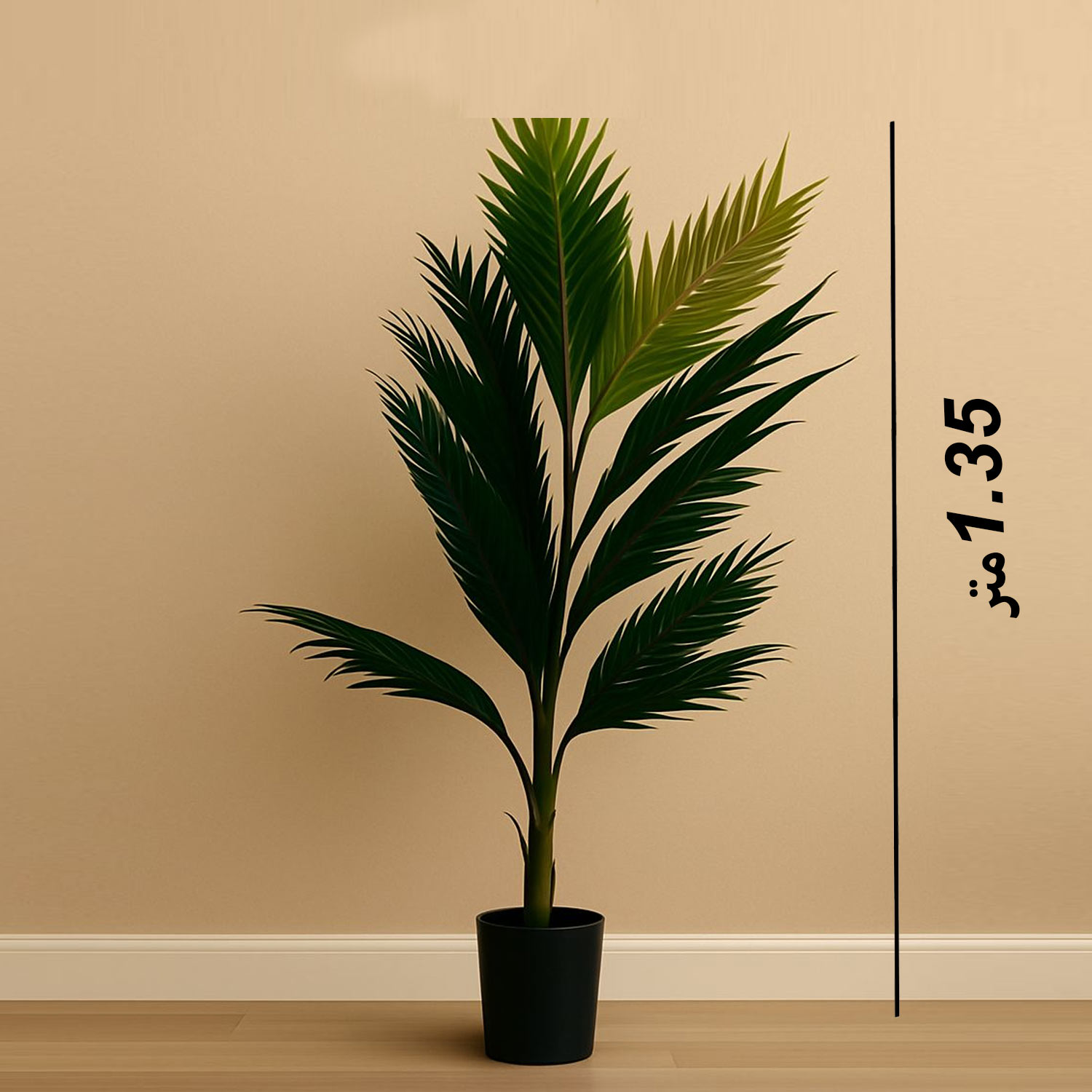 product_img1