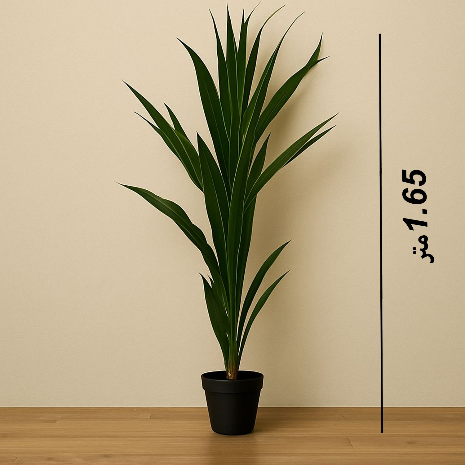 product_img1
