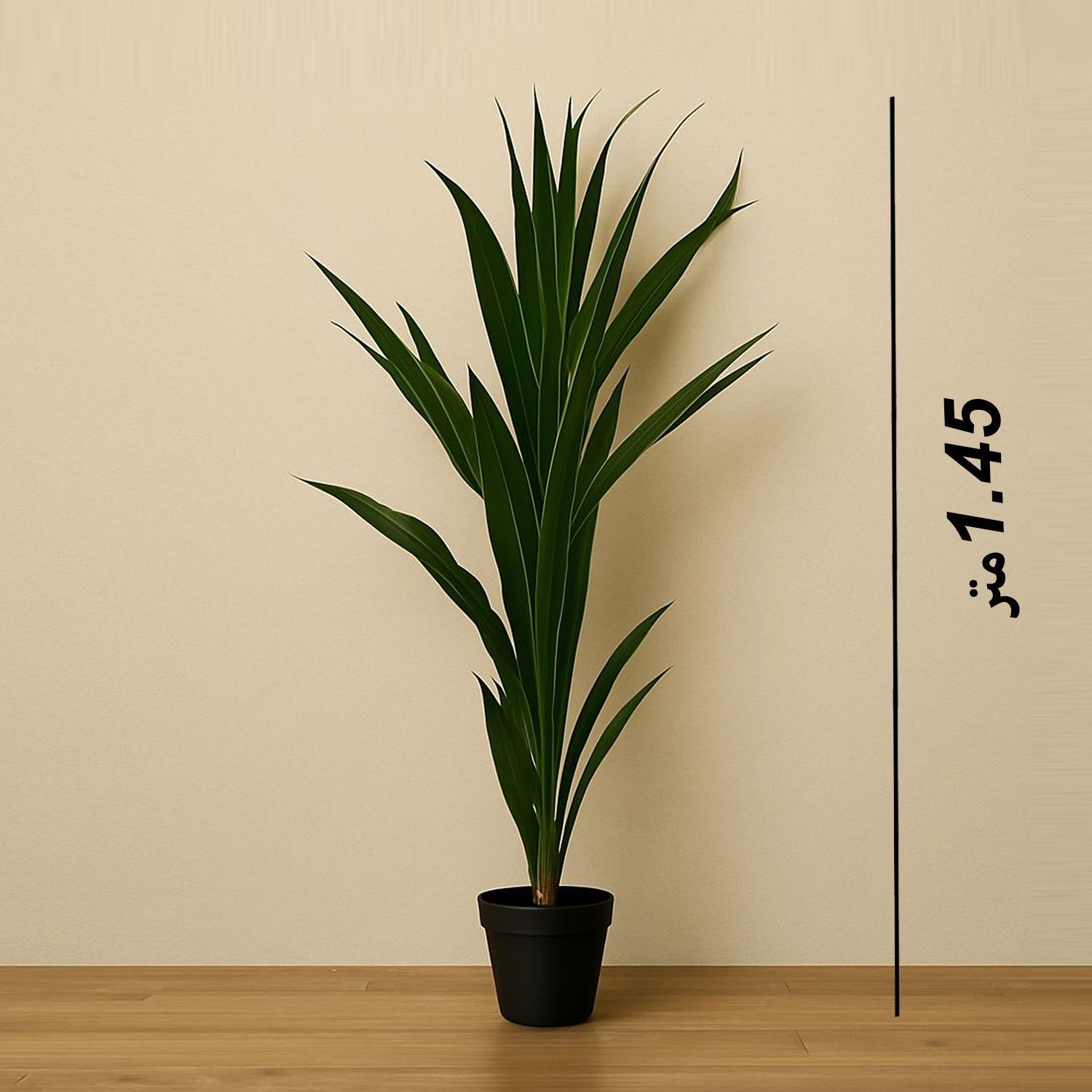 product_img1
